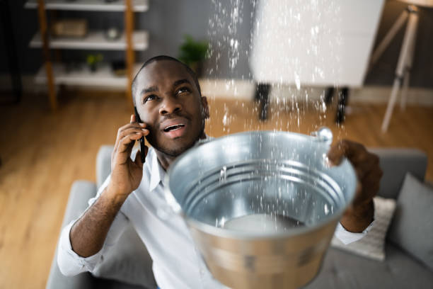 Best Water damage restoration near me  in Chino Hills, CA