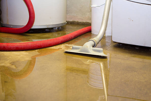 Best Water damage cleanup near me  in Chino Hills, CA
